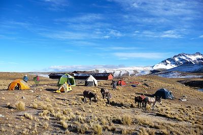 Voyage Pequeño Alpamayo (5410m) et Chachacomani (6074m) 3