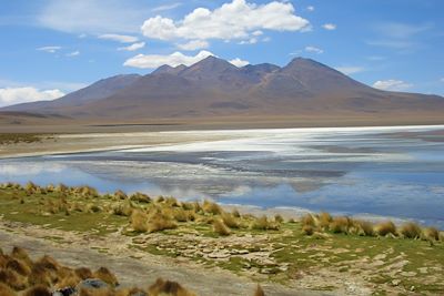 © Denis Chambon - L'altiplano - Bolivie L'altiplano - Bolivie