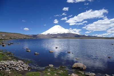 © Myriam Fernandez - Le volcan Nevado Sajama - Bolivie Le volcan Nevado Sajama - Bolivie