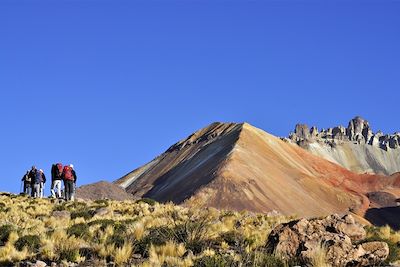 © Lubomir Popiordanov - Sur le sentier vers le volcan Tunupa - Bolivie Sur le sentier vers le volcan Tunupa - Bolivie