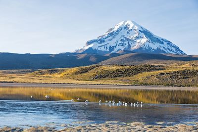 © Toniflap / Adobe Stock - Volcan Nevado Sajama - Bolivie Volcan Nevado Sajama - Bolivie