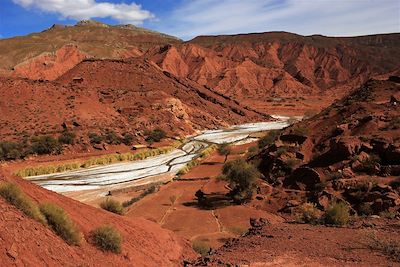 © Loïc Chetail - De Tupiza à Rio Seco - Sud Lipez - Altiplano - Bolivie De Tupiza à Rio Seco - Sud Lipez - Altiplano - Bolivie