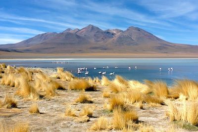 © Thomas Callens - Lagune - Sud Lipez - Bolivie Lagune - Sud Lipez - Bolivie