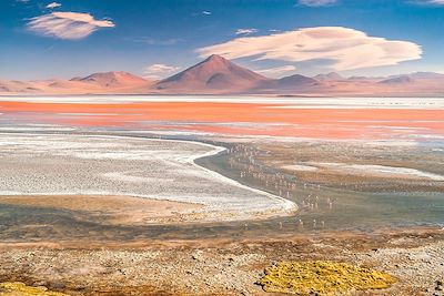 © milosk50 / Adobe Stock - Laguna Colorada - Sud Lipez - Bolivie Laguna Colorada - Sud Lipez - Bolivie