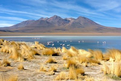 Lagune - Sud Lipez - Bolivie