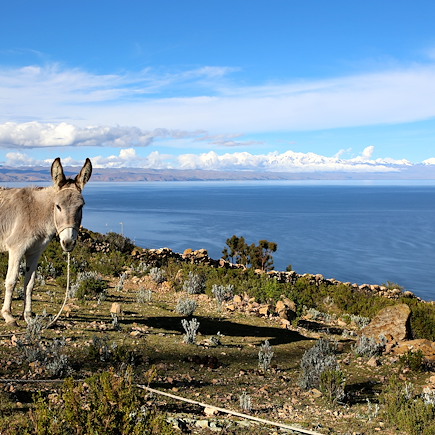 Alpinisme Bolivie