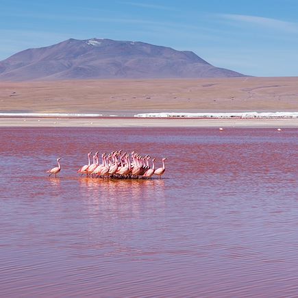 Découverte Bolivie