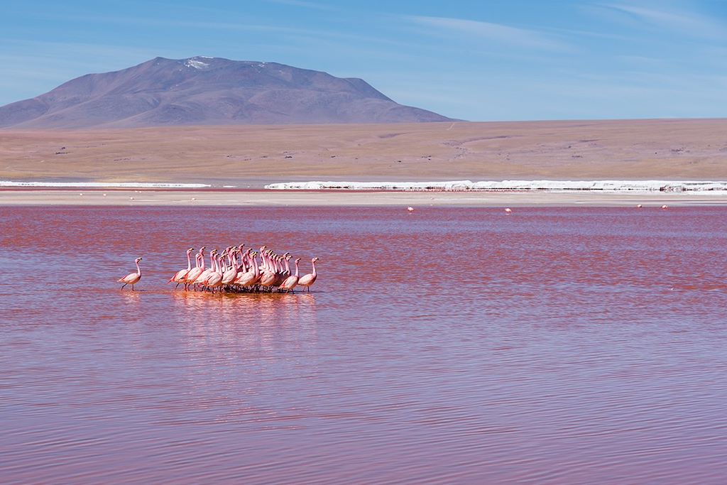Image Randonnée Bolivie - expédition sud Lipez - Chemin de l'Inca - Ascension Tunupa
