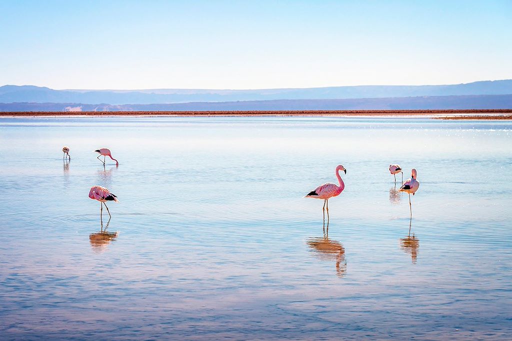 Image Visite Salar Uyuni - Voyage Lac Titicaca - Randonnée Désert Atacama