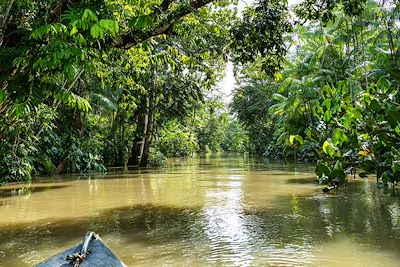 Aventuriers du Pantanal et de l'Amazonie