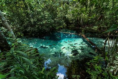 Voyage Iguaçu