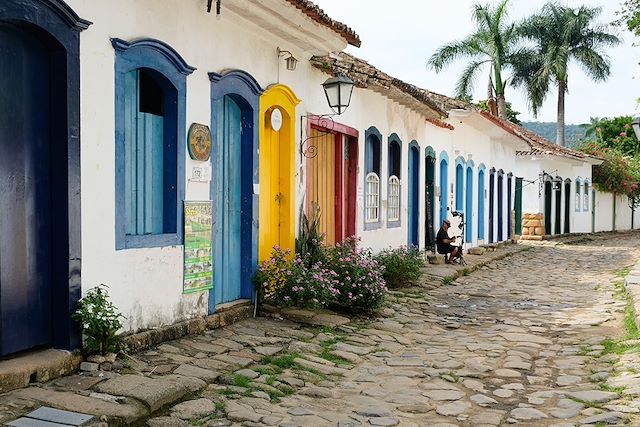Découverte Brésil
