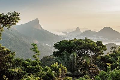 Forêt de Tijuca en direction de Rio de Janeiro - Brésil