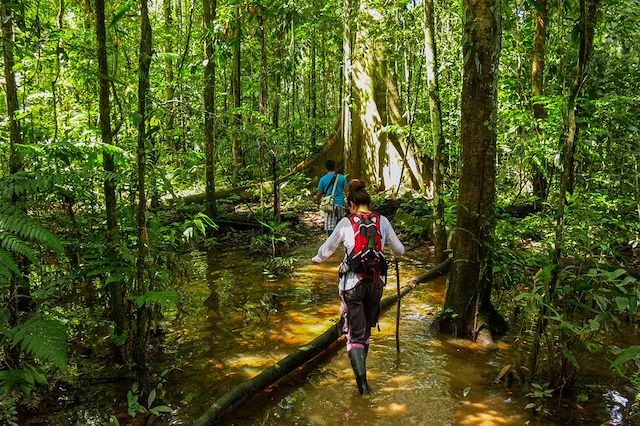 Voyage Amazonie et "Sahara Brésilien", nature contrastée