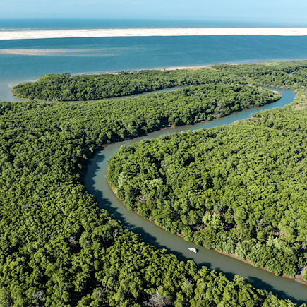 Multi-activités Brésil Manaus et jungle Amazonienne