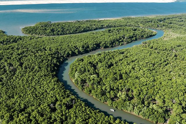 Voyage Amazonie et "Sahara Brésilien", nature contrastée