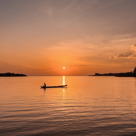 Découverte Brésil Manaus et jungle Amazonienne