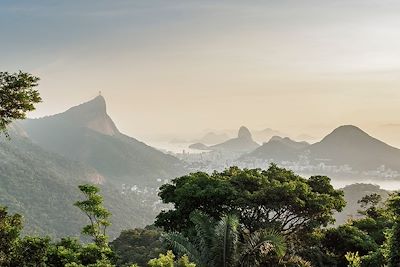 Forêt de Tijuca en direction de Rio de Janeiro - Brésil