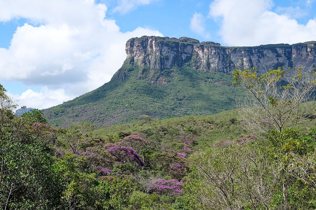 Image Visite Rio De Janeiro - Randonnée Costa Verde - Trek Chapada Diamantina - Chutes d'Iguaçu