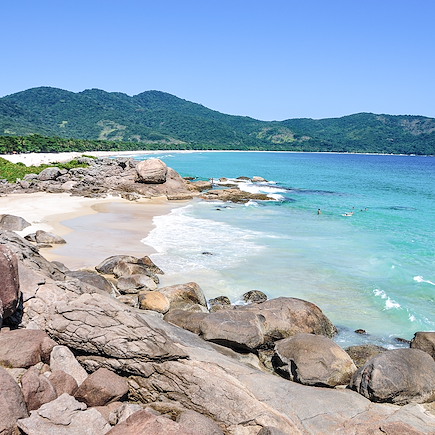 Découverte Brésil