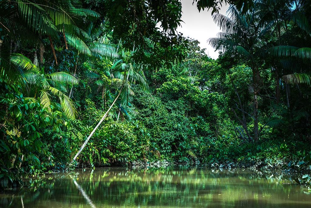 Image Visite Rio De Janeiro - Chutes D'Iguaçu - Voyage Amazonie