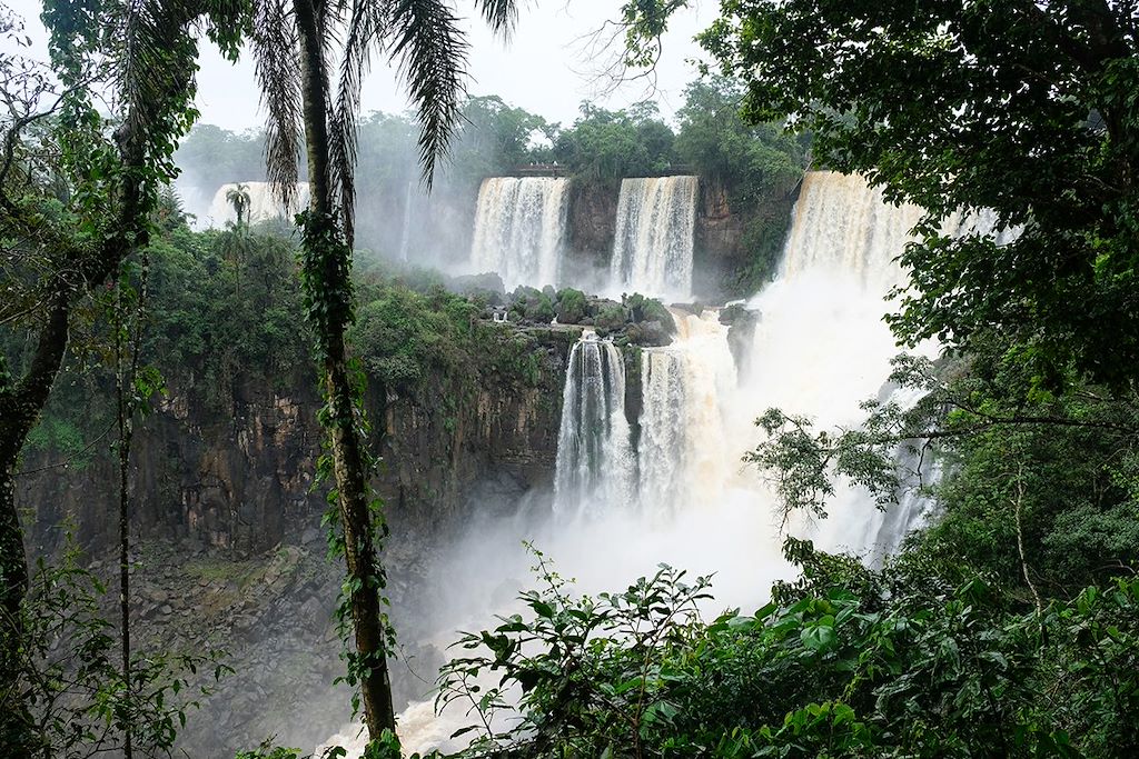 Image Visite Rio De Janeiro - Chutes D'Iguaçu - Voyage Amazonie