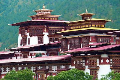 © Thomas Callens - Dzong de Punakha - Bhoutan Dzong de Punakha - Bhoutan