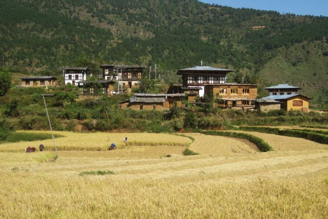 Image Découverte du Bhoutan