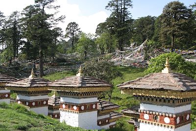 Entre Thimphu et Gangtey - Bhutan