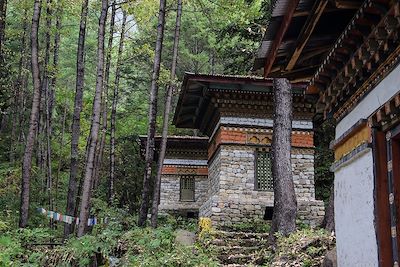 Randonnée au temple du Tigre -  Bhoutan