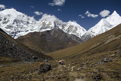 Randonnée au Tso Phu - Bhoutan