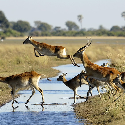 Autotour Botswana