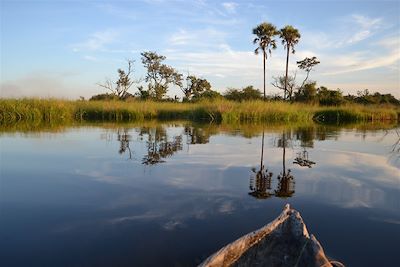 © Astride Ayrole - Delta de l'Okavango - Botswana Delta de l'Okavango - Botswana