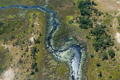 Delta de l'Okavango - Botswana