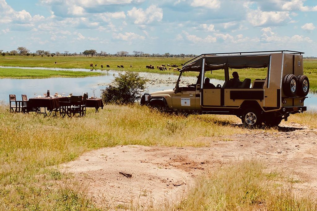 Safaris privés à Chobe, Savuti et Moremi 