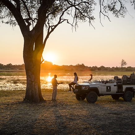 Safari Botswana