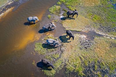 Voyage Le Botswana vue d'en haut 2