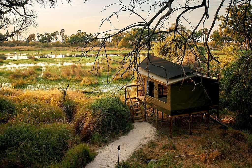 Voyage Du Kalahari à l'Okavango, une aventure magique  3