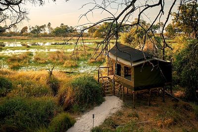 Voyage Du Kalahari à l'Okavango, une aventure magique  2