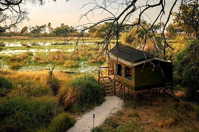 Oddballs Camp - Okavango - Botswana