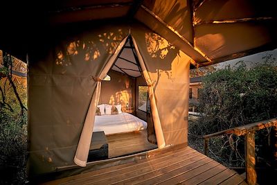 © Safari Destinations - Oddballs Camp - Okavango - Botswana Oddballs Camp - Okavango - Botswana