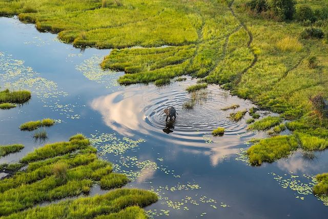 Voyage Du Kalahari à l'Okavango, une aventure magique 