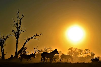 Voyage Forêts, collines, rivières et lacs Botswana