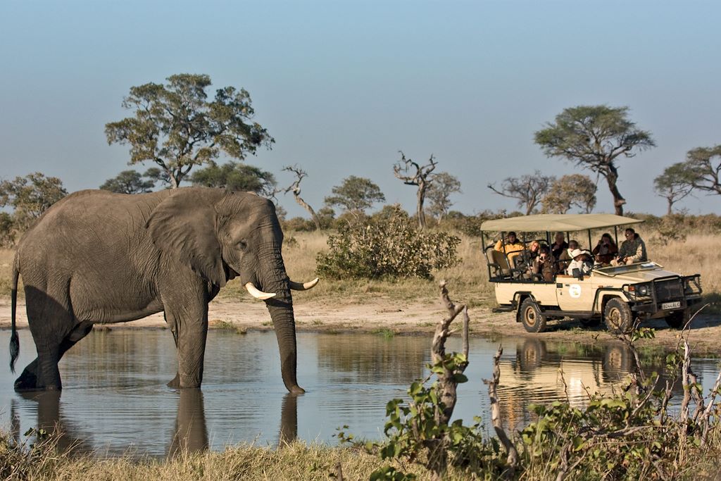 Voyage Au coeur des réserves animalières du Botswana 3