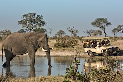 Savute Elephant Camp - Botswana