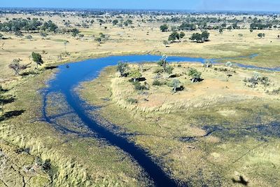 Dans le delta de l'Okavango - Botswana