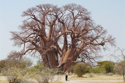 Camp Kalahari - Makgadikgadi - Botswana