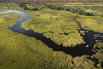 Duba Plains - Okavango - Botswana