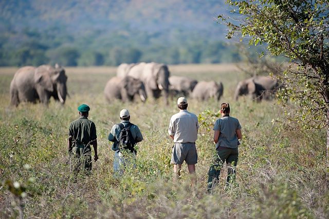 Voyage De rando en safari, l'aventure à pied