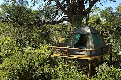 Oddballs Camp - Okavango - Botswana